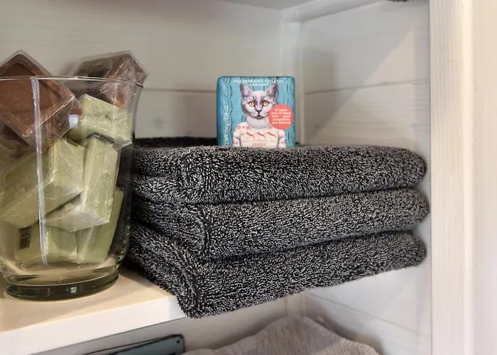 Tiny House Dreischwesternherz Treviri